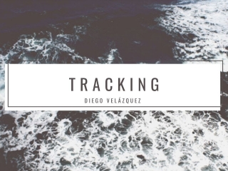 Diego Velazquez - Tracking